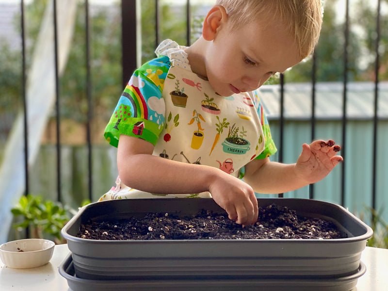 Hoe kweek ik groenten binnenshuis met behulp van groeilampen? - Het LED Warenhuis