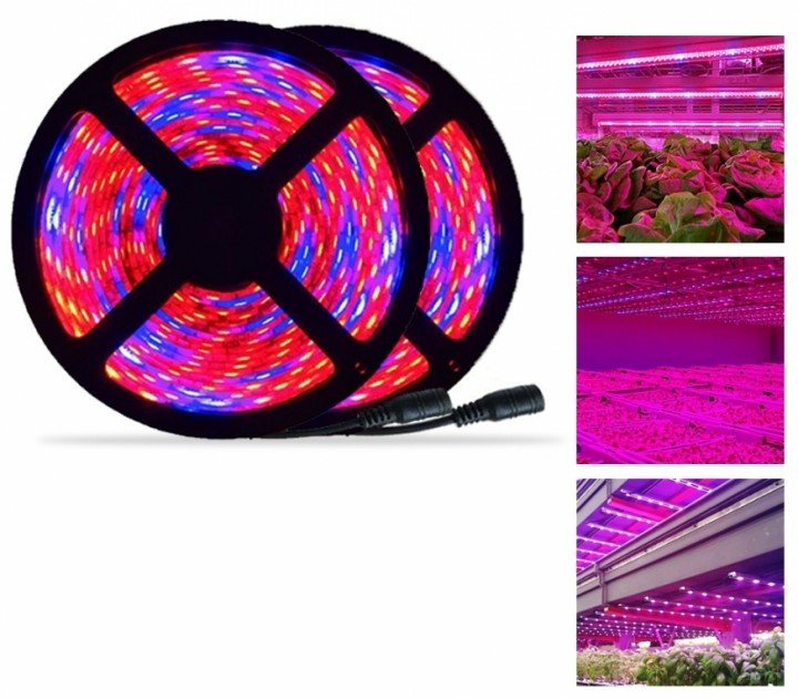 LED Kweekstrips - Het LED Warenhuis